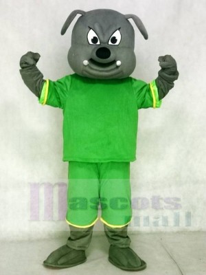 Gray Bulldog Mascot Costumes Animal with Green Suit