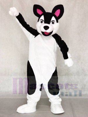 Black and White Husky Dog Mascot Costumes Animal