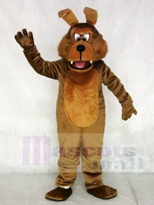 Cute Realistic Coyote Wolf Mascot Costumes Animal