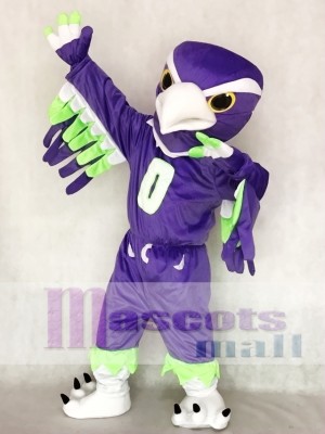 Seattle Seahawks Blitz the Seahawk BOOM the Seahawk Mascot Costume Animal 