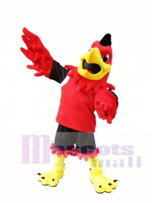Red Hawk Mascot Costume Mo the Falcon Mascot Costumes Animal