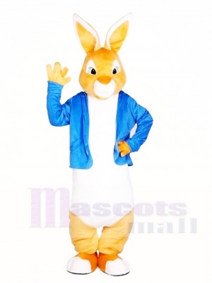 Cute Peter Rabbit Easter Bunny Mascot Costumes Cartoon Animal