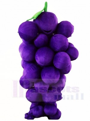 Purple Grape Mascot Costumes Fruit Food