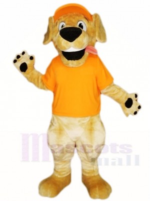 Retriever Dog with Orange Hat and Shirt Mascot Costumes Animal