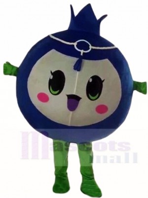 Blueberry Mascot Costumes Fruit