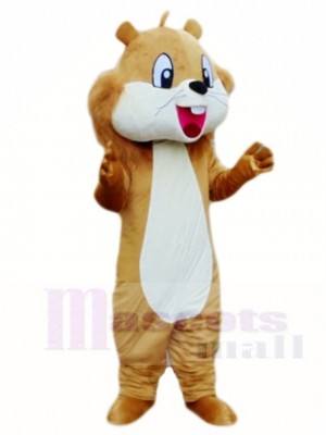 Brown Squirrel Mascot Costumes Animal 