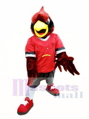 Red Eagle Hawk Mascot Costume College Mascot Costumes Animal