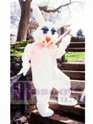 Peter Rabbit Bunny Mascot Costume Animal