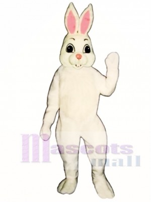 Easter Bunny Mascot Costume Animal