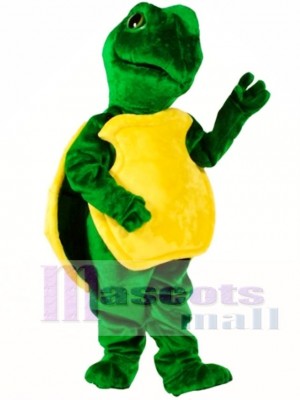 Turtle Mascot Costume Animal