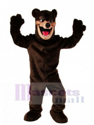 Cute Bear Mascot Costume Animal 