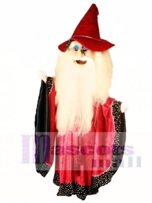 Merlin Wizard Mascot Costume People