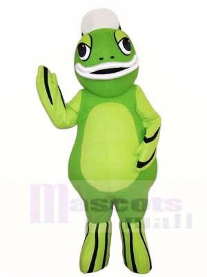 Cute Green Freshwater Fish Mascot Costumes  