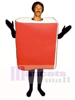 Book Mascot Costume