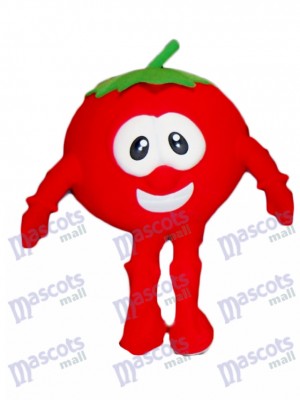 Bob the Tomato Mascot Costume from VeggieTales Cartoon 