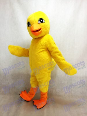 Yellow Chick Mascot Costume