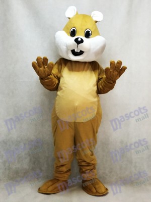 Chubby Squirrel Mascot Costume with White Belly Animal 