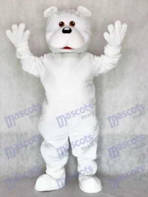 Adult Cute White Bear Adult Mascot Costume Animal 