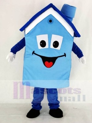 Realistic Blue House Mascot Costume School
