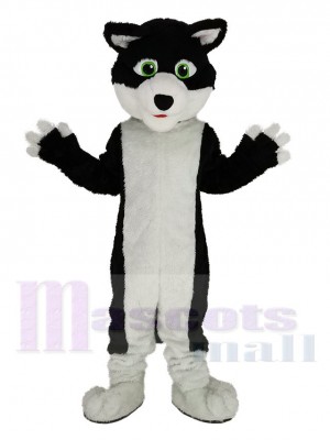 Black and White Border Collie Dog with Green Eyes Mascot Costume