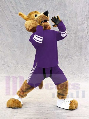 Arizona Coyote Wolf Mascot Costume Animal in Violet Jersey