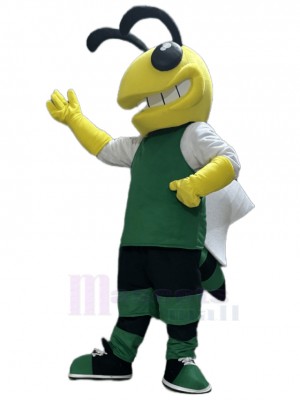 Hornet mascot costume
