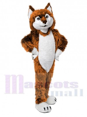 Cute Golden Wolf Mascot Costume Animal