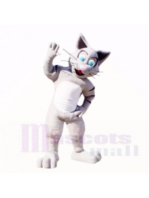 Friendly Gray Cat Mascot Costumes Cartoon