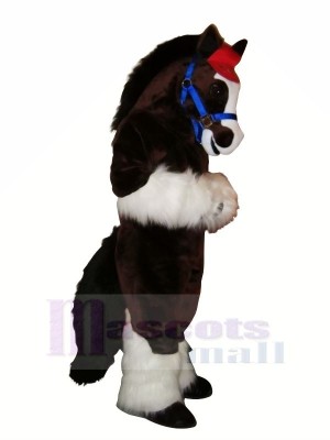 Cute Horse with Long Tail Mascot Costumes Cartoon