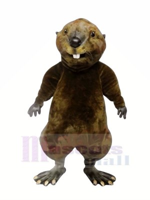 High Quality Otter  Mascot Costumes	