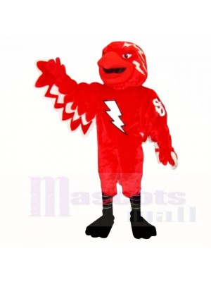 St John Thunderbird Mascot Costumes School