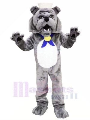 Grey Bulldog Mascot Costumes Adult