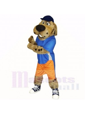 Sport Dog with Blue Hat Mascot Costumes School
