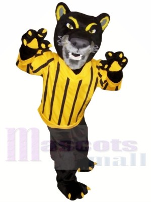 Fierce Black Panther Mascot Costumes Animal