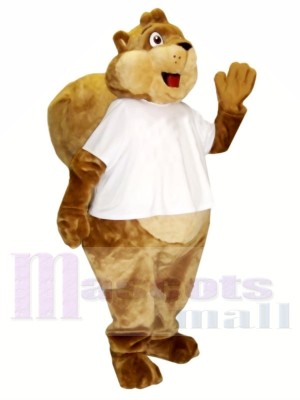 Cash Squirrel Mascot Costumes 