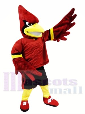 College Cardinal Mascot Costumes