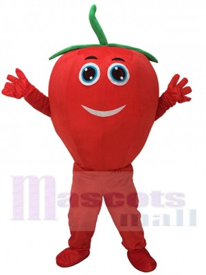 Cute Red Tomato with Smile Mascot Costume