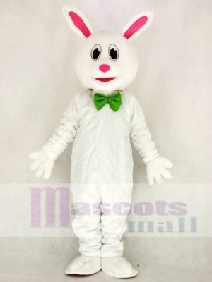 Funny Easter Bunny Rabbit Mascot Costume School 