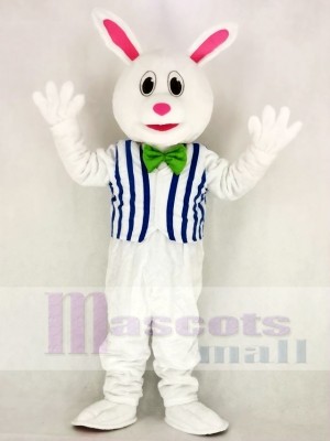 Funny Easter Bunny Rabbit with Vest Mascot Costume School 	