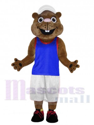 Gopher mascot costume