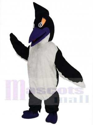 Woody Woodpecker Bird Mascot Costume Cartoon