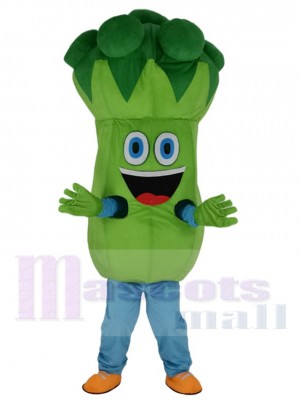 Bruce Broccoli Mascot Costume Cartoon	
