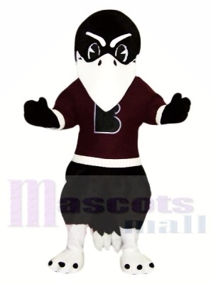 Black Raven with White eyebrows Mascot Costumes Animal	