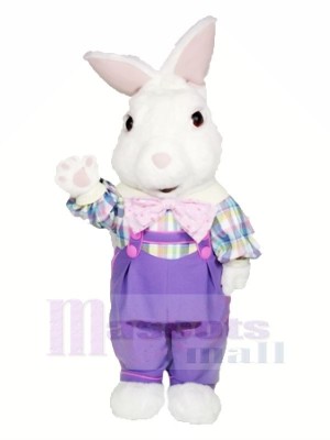 Fuzzy Bunny with Purple Suit Mascot Costumes Cartoon