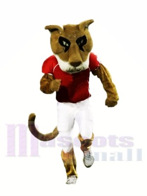 College Cougar Mascot Costumes