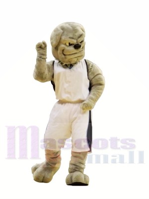 College Bulldog Mascot Costumes