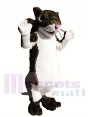 Cute Lightweight Squirrel Mascot Costumes 