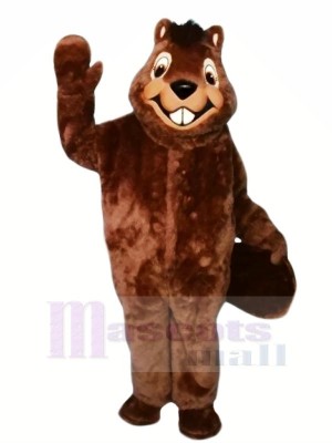 Smiling Furry Beaver Mascot Costumes Cartoon