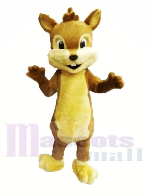 Cute Furry Chipmunk Mascot Costumes 