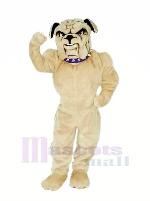 Realistic Bulldog Mascot Costumes Cartoon